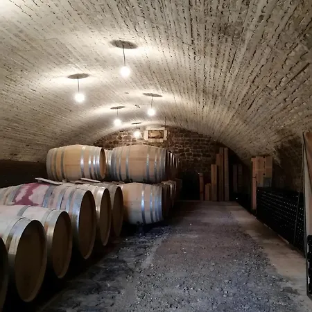 Syrah